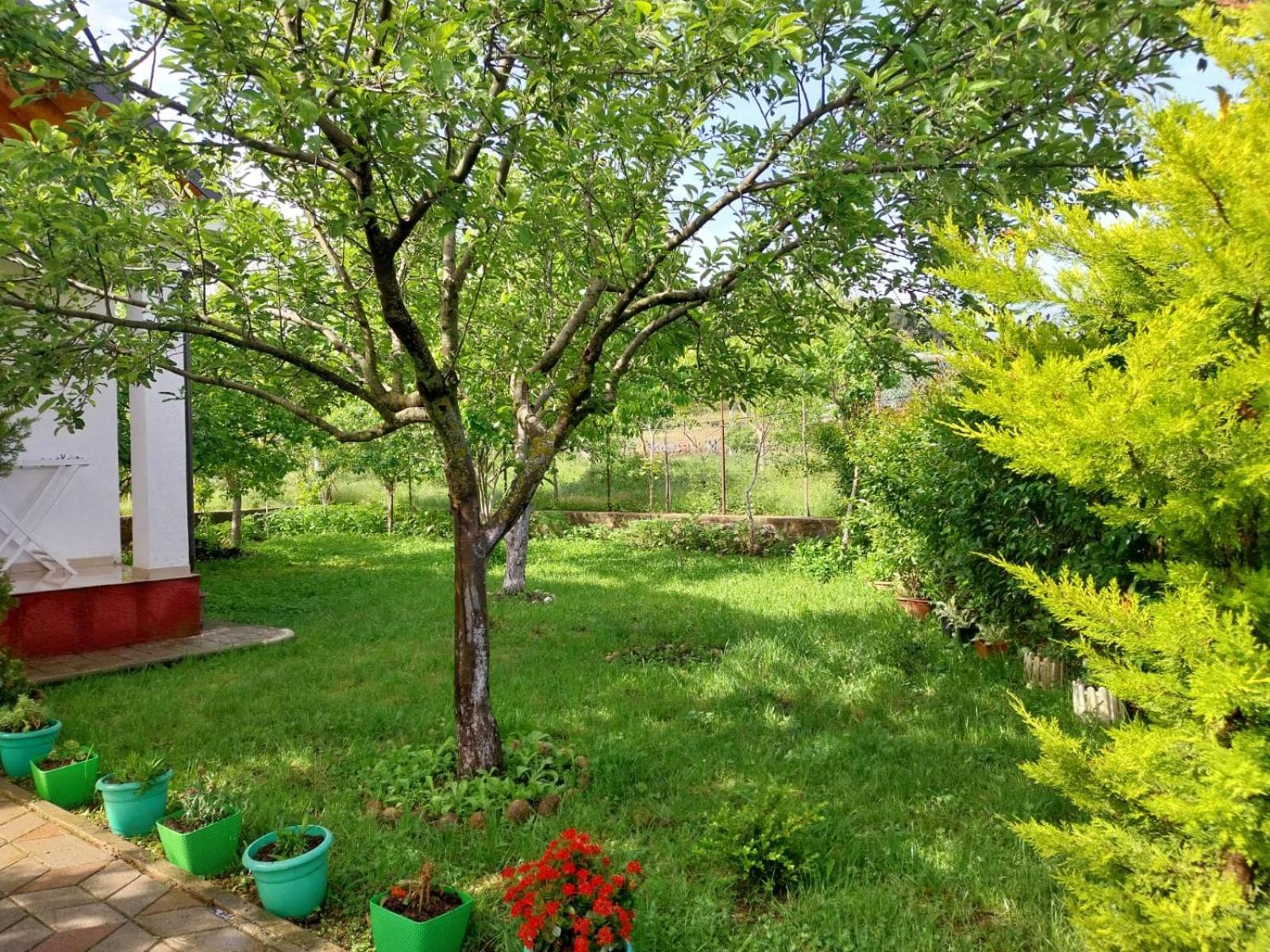 Riza Guest House Puka Kültér fotó
